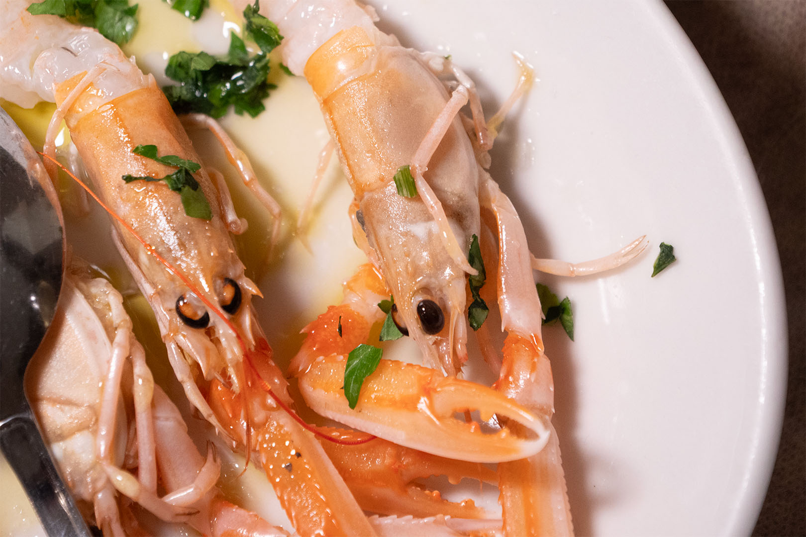 Trattoria di pesce a Catania 6